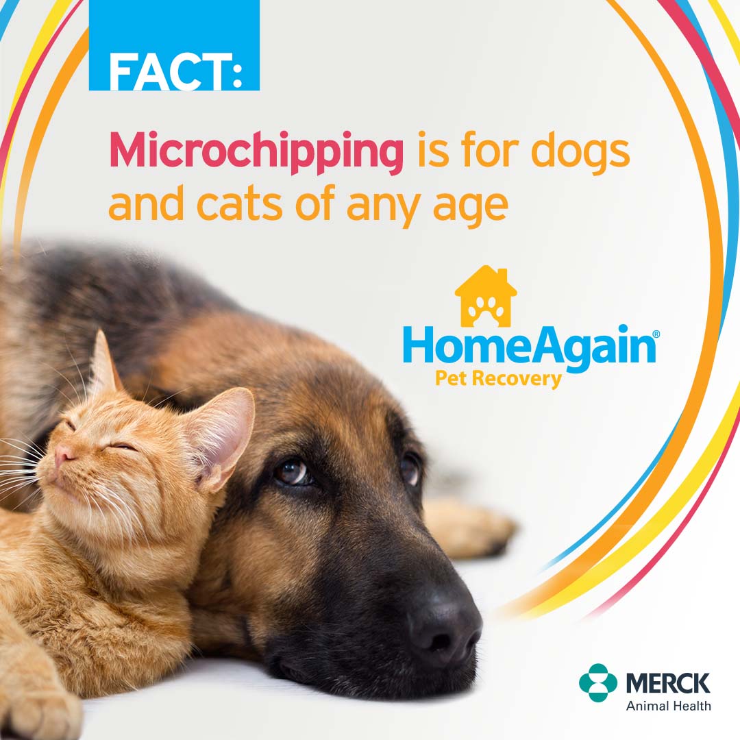 Pet Microchipping